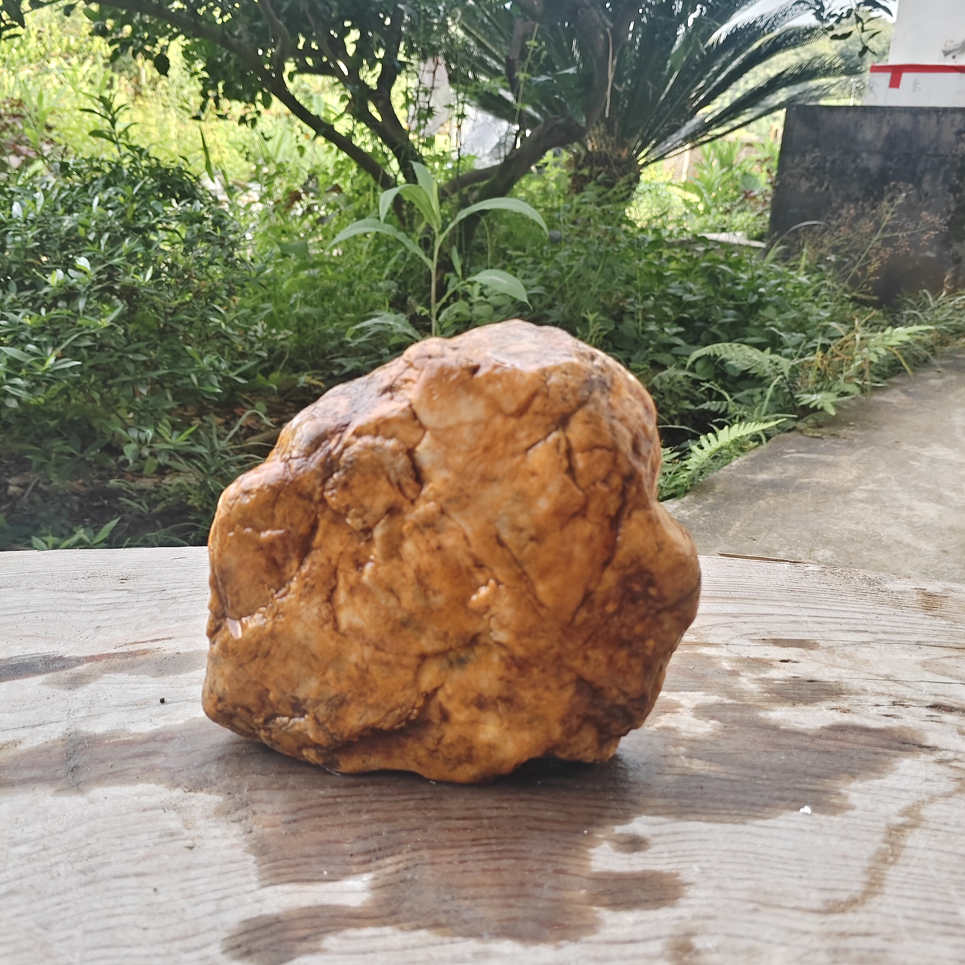 天然原石黄蜡石溪流石摆件观赏鱼缸石