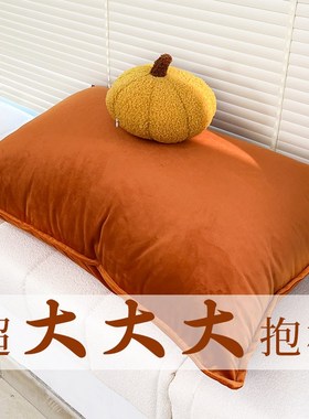 橙色大号抱枕轻奢简约沙发客厅天鹅绒大靠垫50x70V牛奶绒含芯靠枕