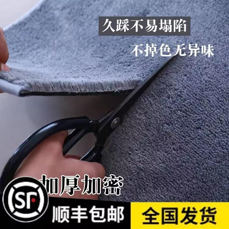 客厅地毯卧室床边毯垫子家用沙发茶几地垫定制少女房间整铺大面积