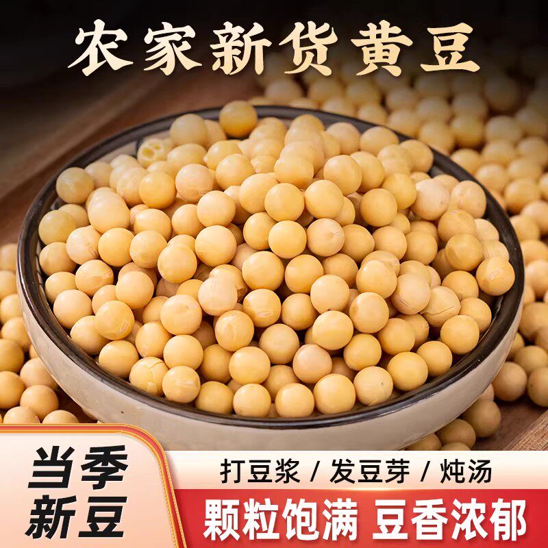 半斤正宗黑龙江黄豆高蛋白东北大豆豆浆豆芽专用农家非转基因便宜