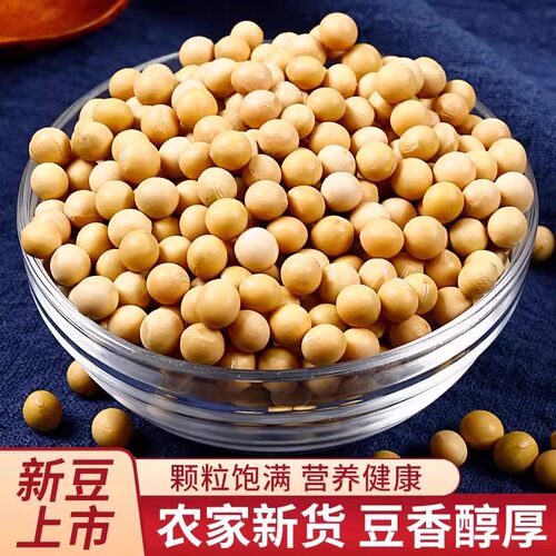 特价东北新黄豆农家豆浆发豆芽