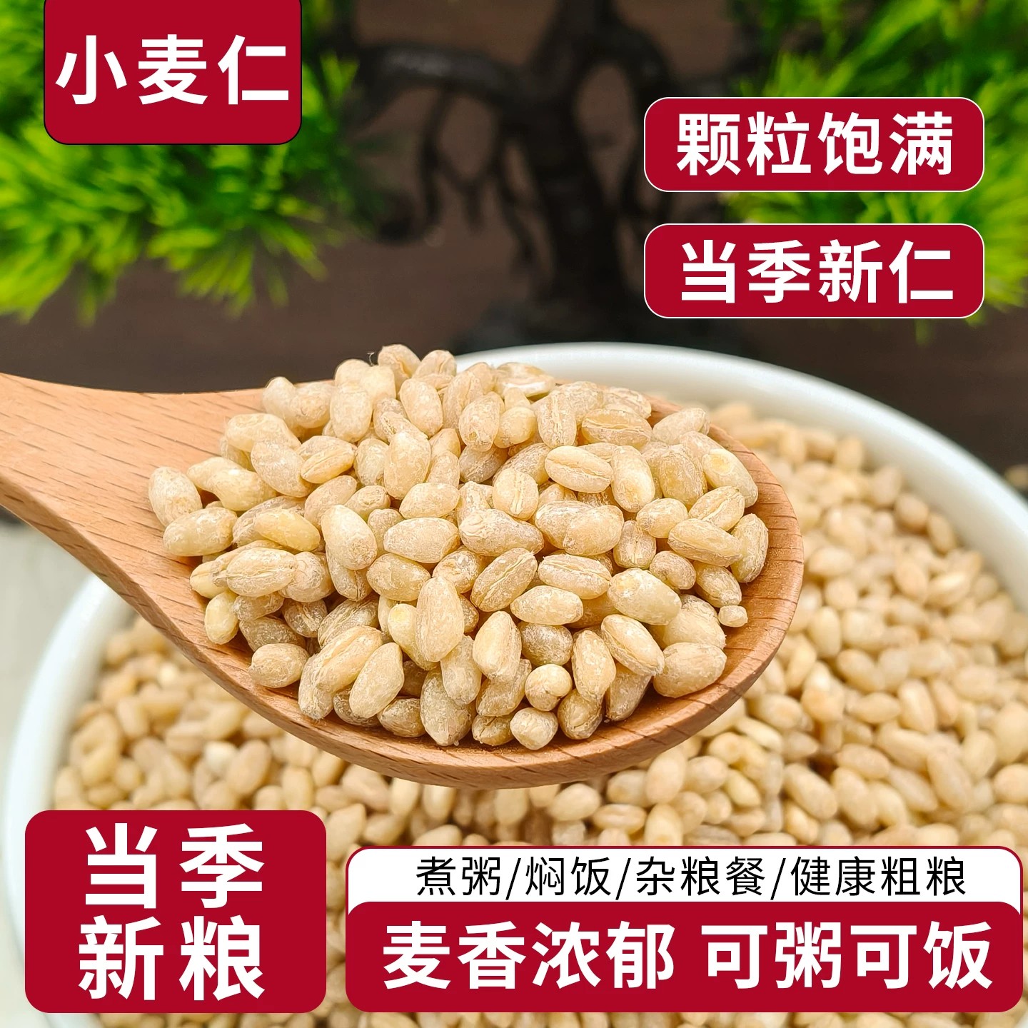 河南小麦仁农户石磨脱皮小麦仁新鲜小麦粒食用煮粥新米去皮小麦仁