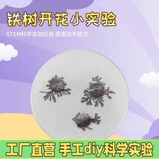 铁树开花学生自制创意化学置换反应小发明实验玩具手工材料包X02