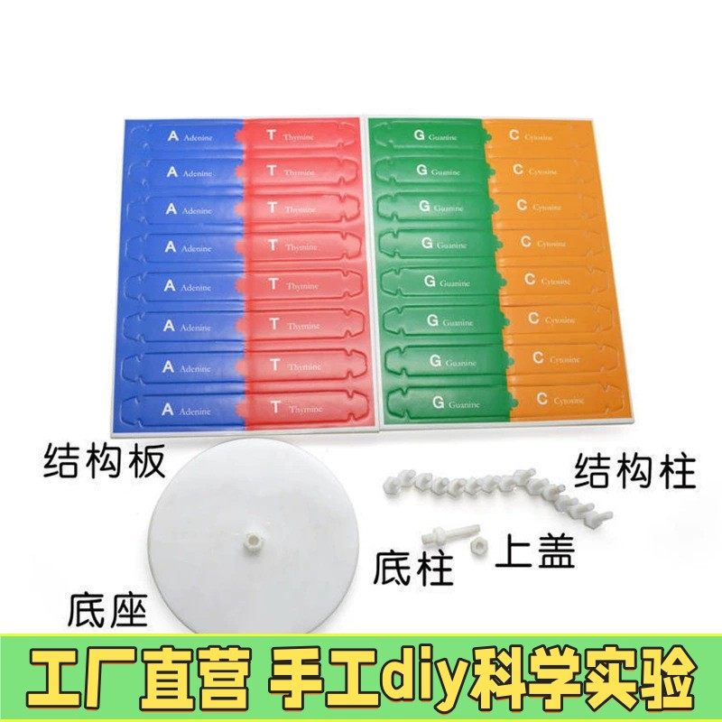 人体基因DNA双螺旋模型小制作小学生创意diy手工自制儿童益智X07