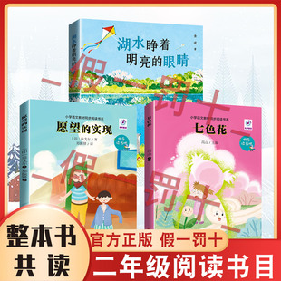 26寒假整本书共读二年级正版新书 七色花 愿望的实现 湖水睁着明亮的眼睛 二年级课外阅读书目 全套三本二年级阅读书籍