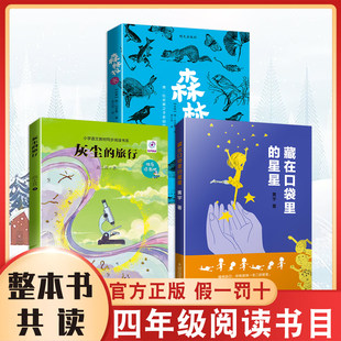 26寒假整本书共读四年级正版新书 灰尘的旅行 森林报（冬） 藏在口袋里的星星 四年级课外阅读书目 全套三本四年级阅读书籍