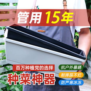 家庭阳台种菜专用盆长方形长条塑料花盆楼顶户R外懒人蔬菜种植花