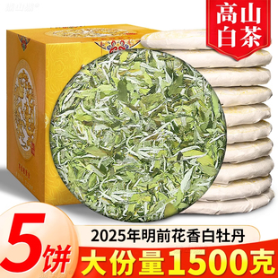 福鼎正宗2025年新茶花香白牡丹白茶茶饼明前太姥山高山嫩芽荒野茶
