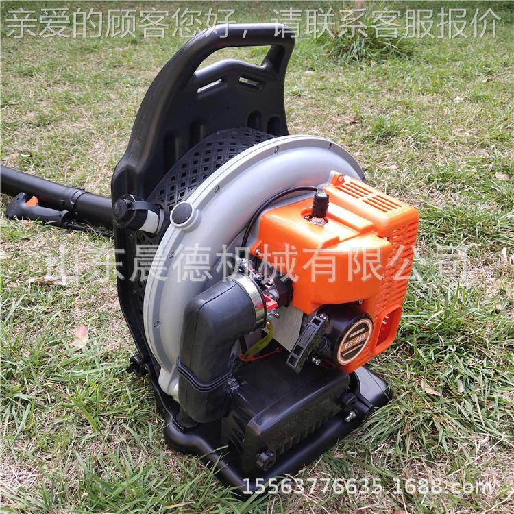 背负尘式汽油QVX工吹风机 业路面吹风机量可调节,农机/农具/农膜,林业机械,淘宝优惠券,粉丝福利购,淘宝优惠卷