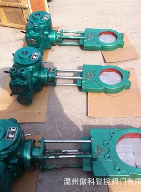 电动单向刀型闸阀 排渣 污水处理刀闸阀 Z973X/H-16C DN250刀闸阀