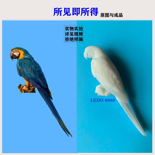 宠物鸟手办定制送源文件白膜