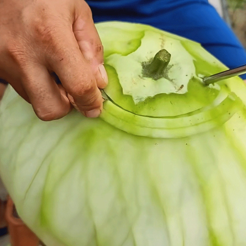 双头旋葫芦条神器东北削角瓜冬瓜葫芦条的工具机器旋子刮葫芦条刀