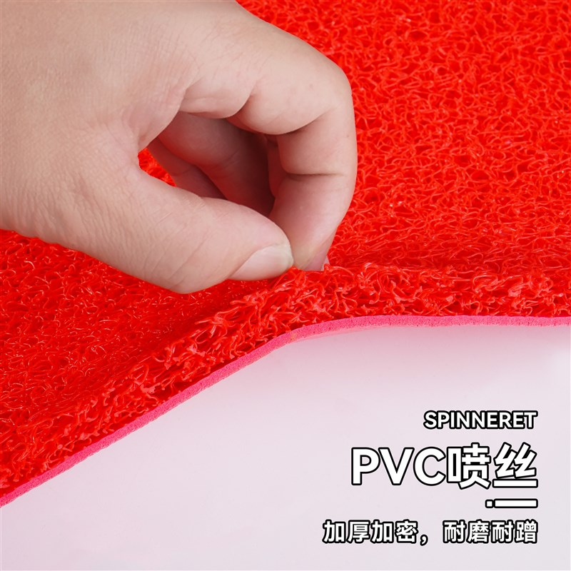 入户门地垫门垫进门门口丝圈脚垫门外可裁剪防滑加厚塑料地毯耐脏