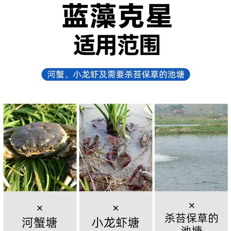 鱼塘速灭杀蓝藻绿藻丝藻除绿水池塘水质净化青苔裸甲藻清除去除剂