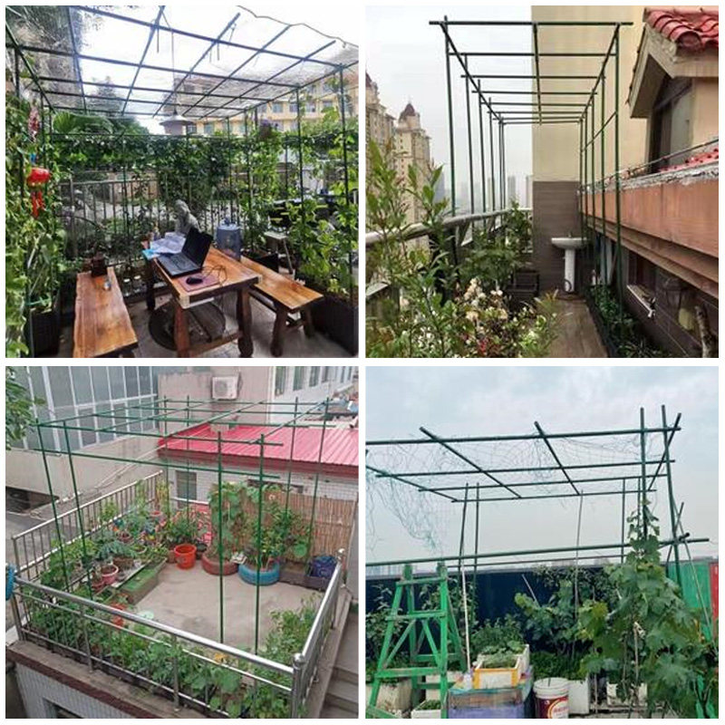丝瓜架子户外葡萄百香果爬藤架包塑钢管豆角爬藤支架蔷薇攀爬玫瑰