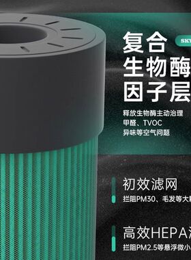 SKYISH施凯西SK30PLUS/50/60车载空气净化器滤芯新车用去异味甲醛
