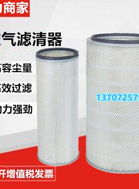 寿力空压机LS20-150空气过滤器409853初级409854/02250135-148