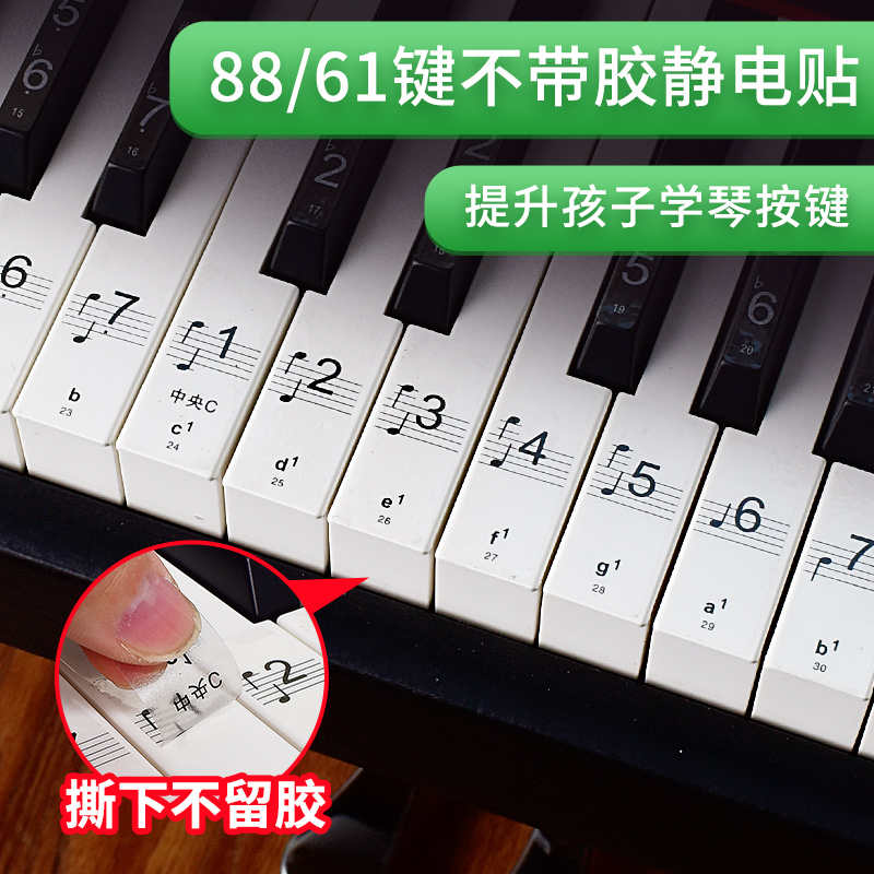 钢琴键盘贴纸88键透明61键54键儿童成人电子琴五线谱简谱按键贴