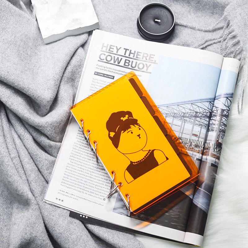 [微琛舍]亚克力本透明可拆卸活页手帐本A6喵喵小姐创意便携笔记本