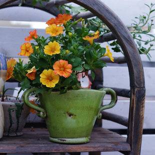 许纯的花房 手拉粗陶红陶冰裂绿色双耳奖杯 三角梅朱顶红花盆