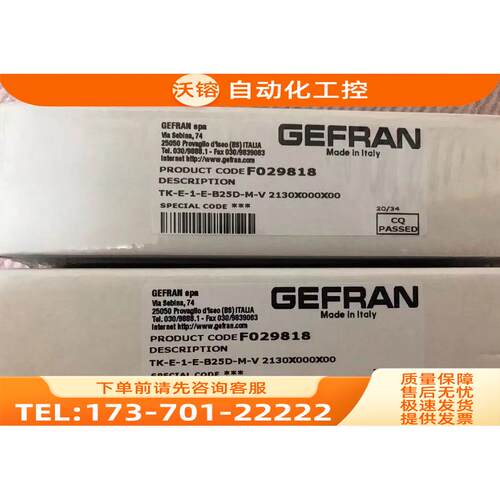 杰佛伦GEFRAN温度传感器TK-E-1-E-B25D-M-V 2130X000X00 F029818