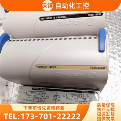 1C31234G01 1C31238H01 模块卡件【议价】