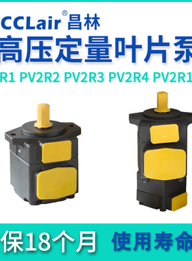 PV2R1液压PV2R2油研4油泵3高压PV2R13定量23叶片泵12 14 21 32 31