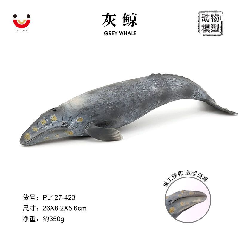 海洋生物 灰鲸 仿真海洋动物模型 海底总动员 海底生物塑胶