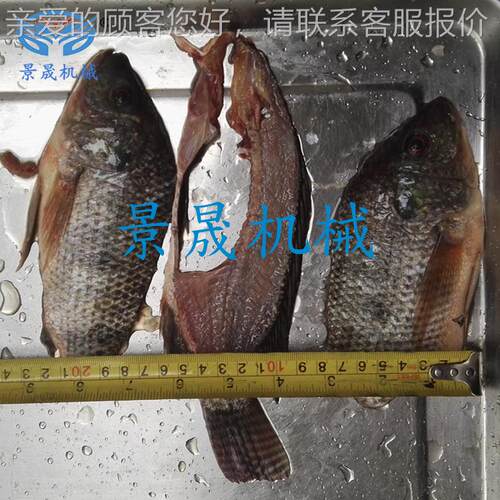 定金OSP工供应鱼类开三片机 开鱼类厂背机三文鱼开片机