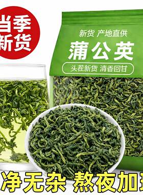 蒲公英茶正品新鲜散官方旗舰店