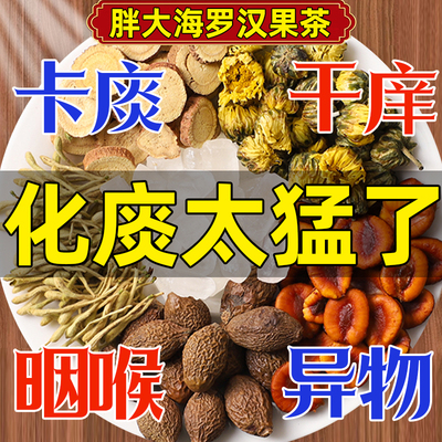 胖大海罗汉果咽炎茶清肺润肺