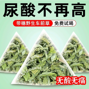 野生车前草泡茶干货新鲜纯天然整株车前草茶尿高酸特级金钱草花茶