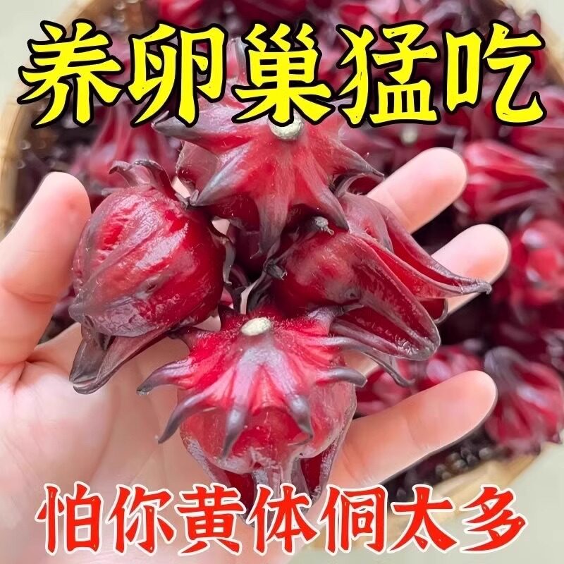黄体酮茶种子循环养雌茶亚麻籽无花果桑葚黑枸杞养生包降雄茶卵巢