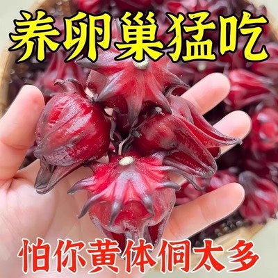 10万+付款人数种子循环茶护青春