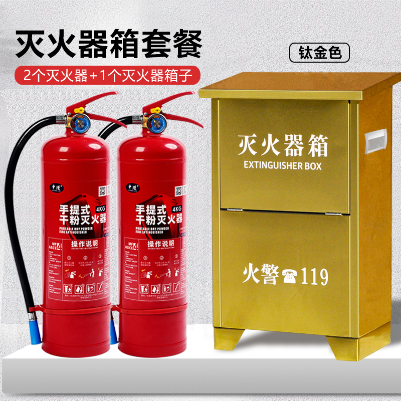 2025新国标4kg灭火器2只装