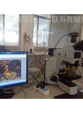 金显微镜4评XG-T金V属合金材料组织69060自动辅助相级机测试分析