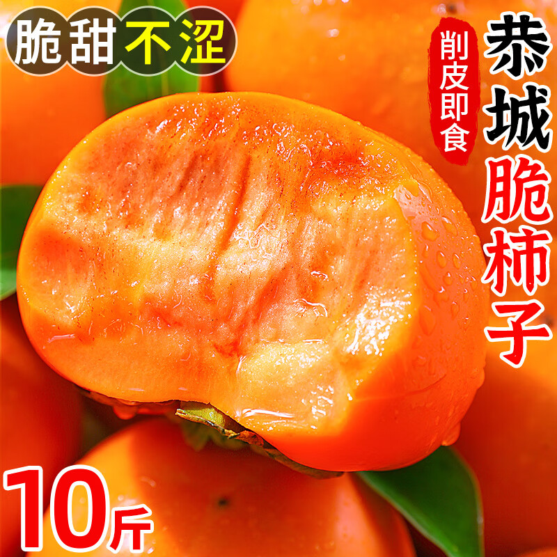 广西恭城巧克力脆柿子10斤装新鲜水果当季甜硬脆柿子火晶柿子整箱