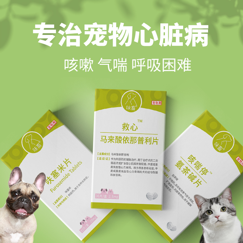 味畜狗狗猫咪心脏病心脏肥大治疗