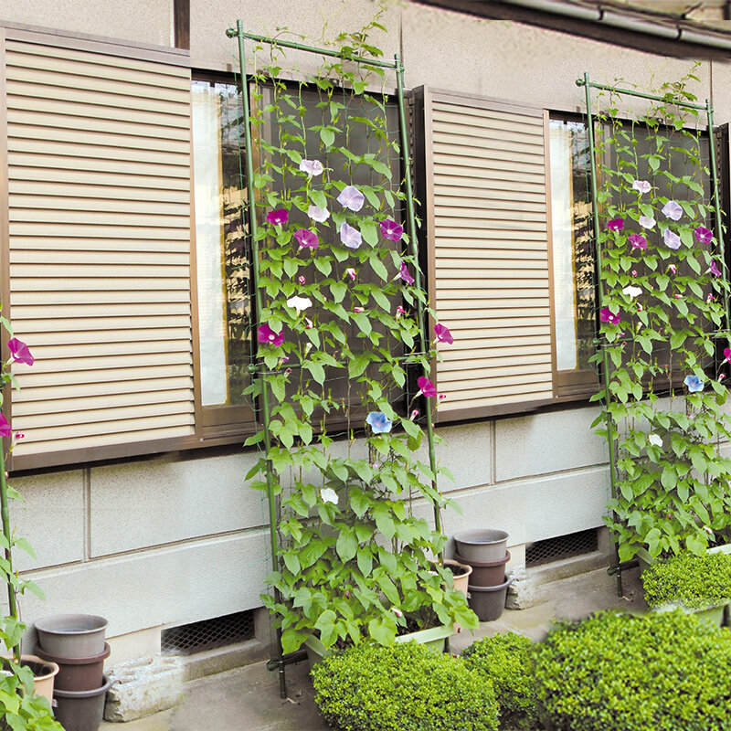 花盆支架月季爬藤架葡萄架阳台攀爬支架黄瓜丝瓜爬藤架爬藤植物