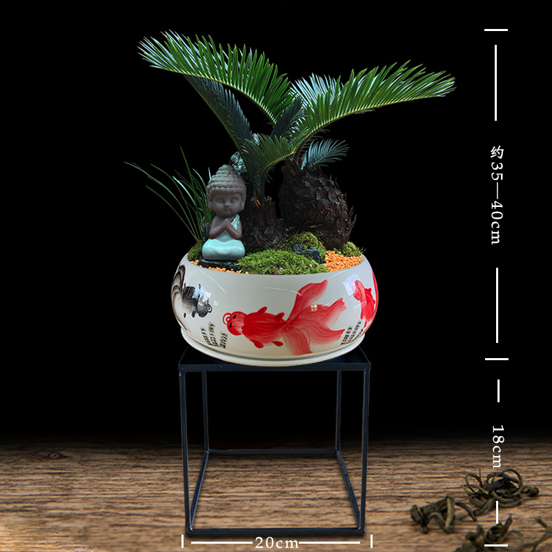 苔藓石山铁树盆栽室内植物好养易活客厅玄关大型绿植开业苏铁盆景