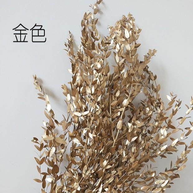 爆款【喷色细叶尤加利】北欧风喷色尤加利叶美叶桉花瓶小花束配材,家居饰品,餐桌花艺,淘宝优惠券,粉丝福利购,淘宝优惠卷