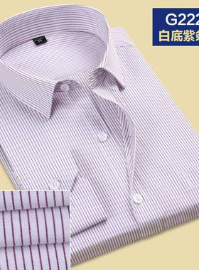 2024春季紫色条纹衬衫男长袖商务职业工装白衬衣男寸西装打底衫工