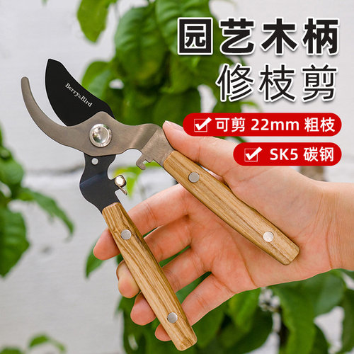 植物修枝剪刀花艺剪月季插花果树盆景园林园艺碳钢剪树枝采果工具