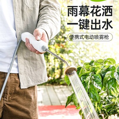 电动喷壶喷雾器喷水壶浇花神器喷枪园艺小型打浇水农雾化水枪