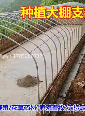 大蓬支架农用草莓花草蔬菜牛猪大鹏朋架抗风雪耐腐V镀锌承重钢管