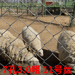 新品新品镀锌铁丝l网围栏钢丝铁网格养殖勾花网鸡鸭羊T狗果园栅栏