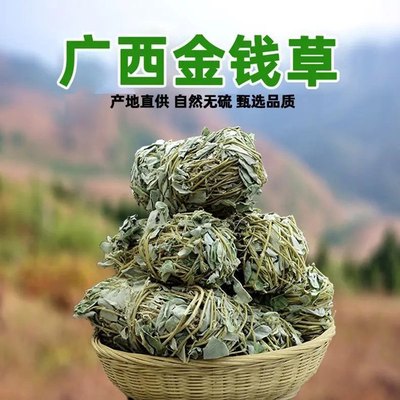 广西无硫新鲜大叶金钱草干自然广金钱草茶泡水煮茶干净500g整株