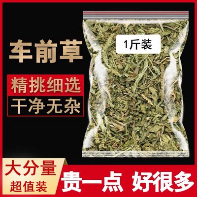 车前草500克g中药材车前草干货袋泡茶新鲜野生泡水喝广西野生无硫