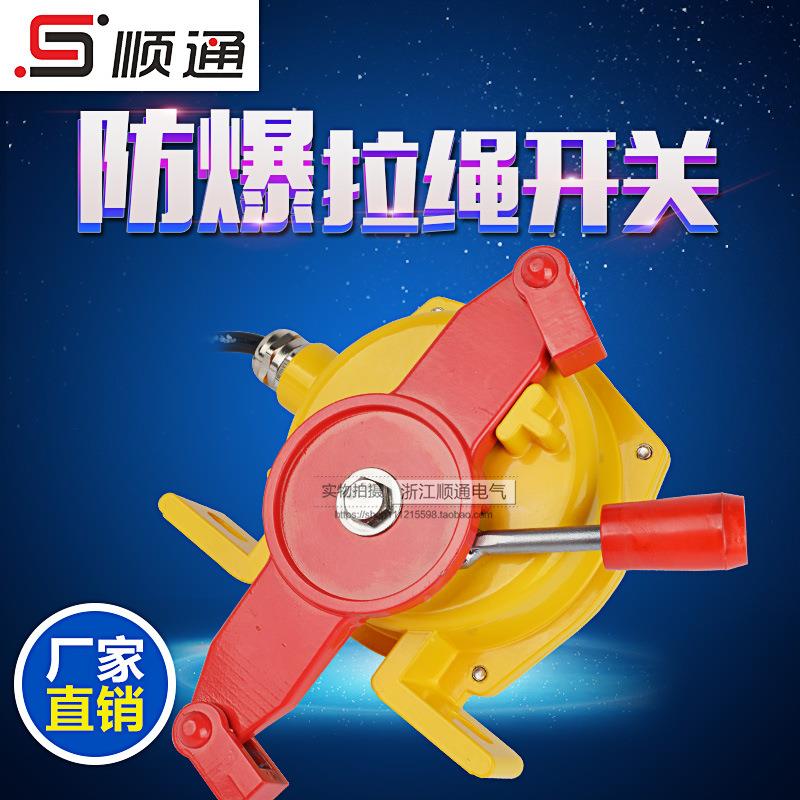 双向拉绳开关WHKBW-220FKLT2-2输送皮带机动复位拉线开2关带自锁