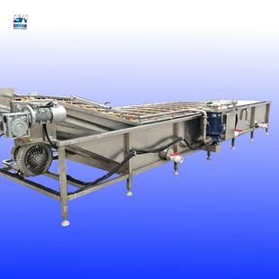 不锈钢叶菜类清洗设备 百香果清洗去污机 果蔬气泡清洗机